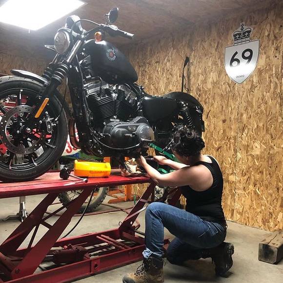 Meet your Posher, Ariel - Picture 1 of 1